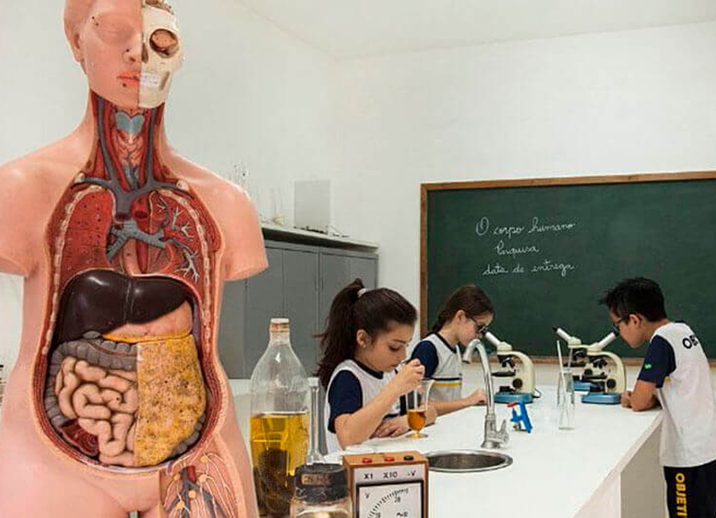 Imagem das estruturas do colegio